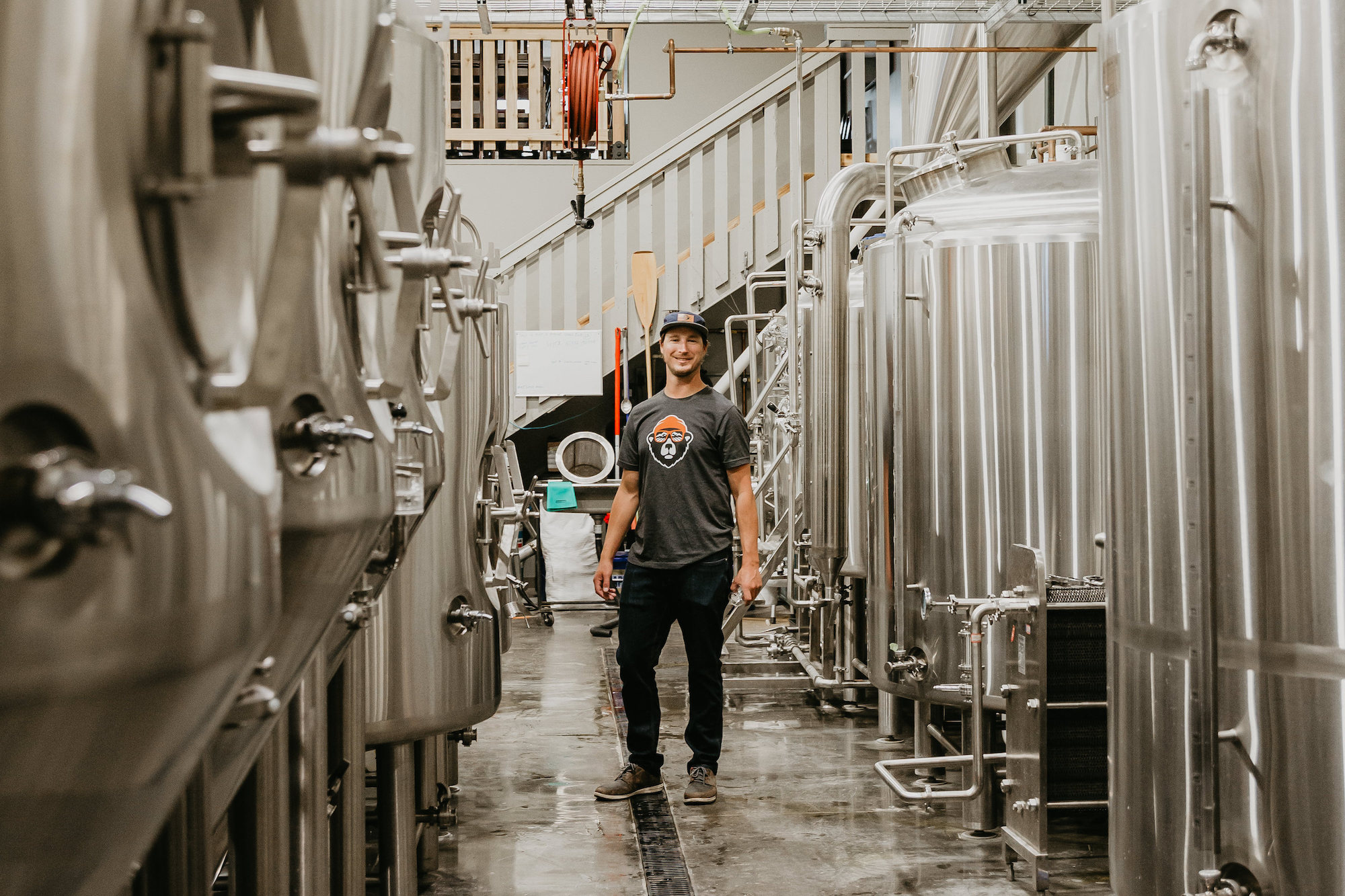 dark woods brewing