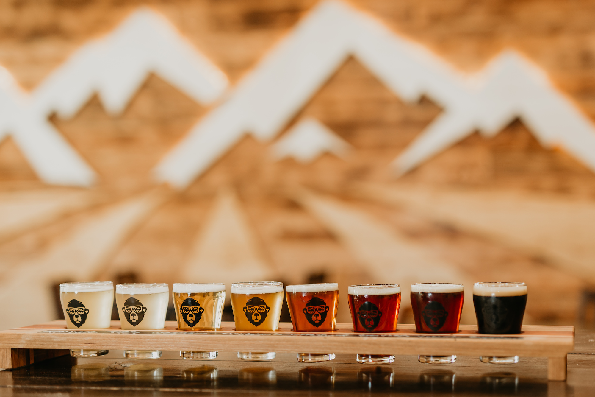 dark woods brewing