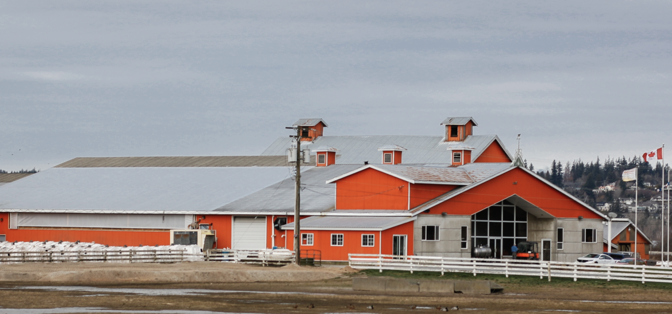 Donia farms