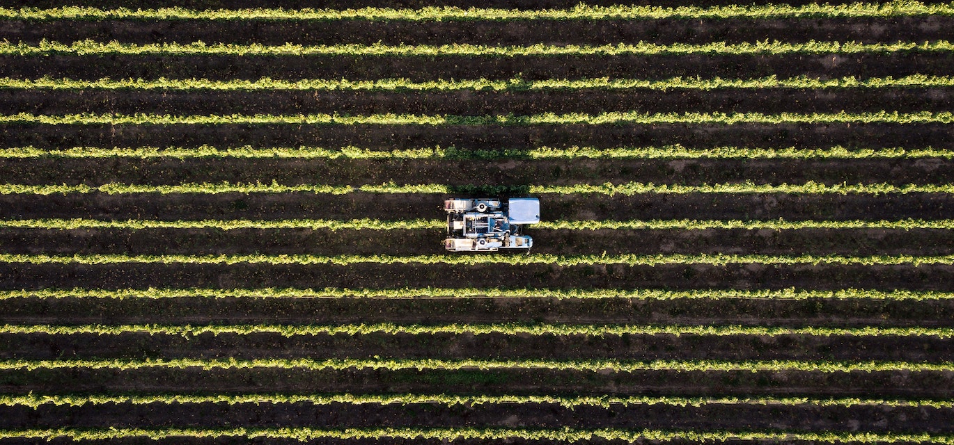 agriculture