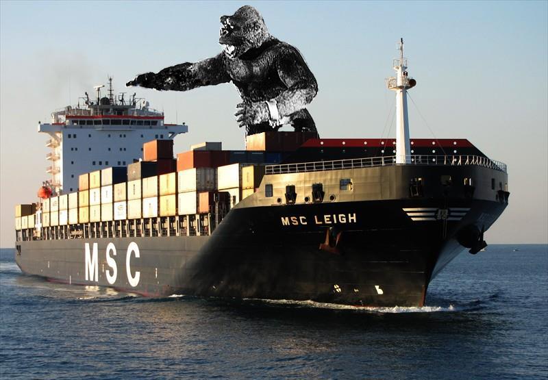 King_King_Ship